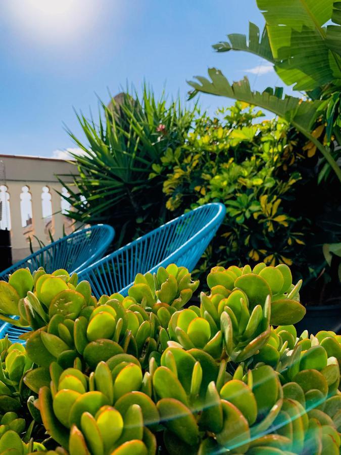 Incredible 2Br Penthouse With Urban Rooftop Garden บาร์เซโลนา ภายนอก รูปภาพ